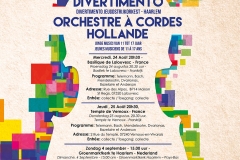 Divertimento Orchestra à Cordes Hollande Poster 2016